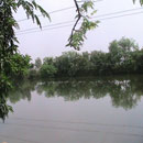 image 53